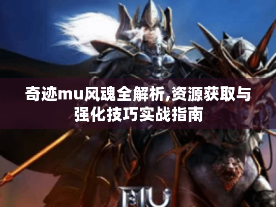 奇迹mu风魂全解析,资源获取与强化技巧实战指南