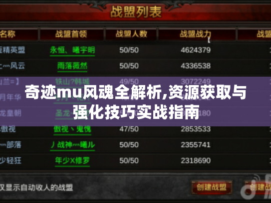 奇迹mu风魂全解析,资源获取与强化技巧实战指南