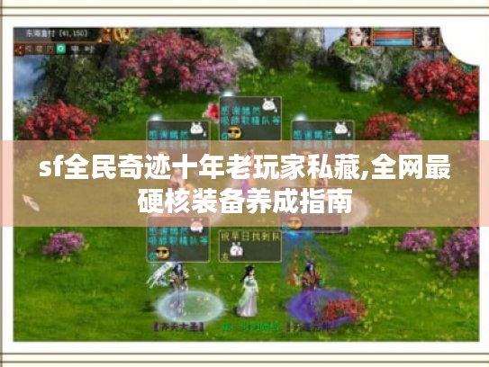 sf全民奇迹十年老玩家私藏,全网最硬核装备养成指南