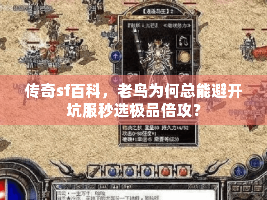 传奇sf百科，老鸟为何总能避开坑服秒选极品倍攻？