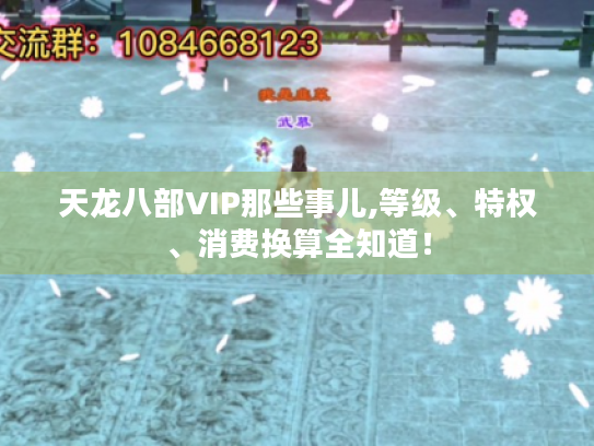 天龙八部VIP那些事儿,等级、特权、消费换算全知道！