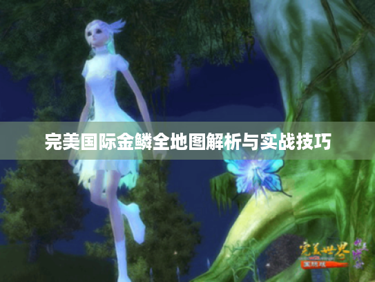 完美国际金鳞全地图解析与实战技巧 完美国际金鳞全地图解析与实战技巧