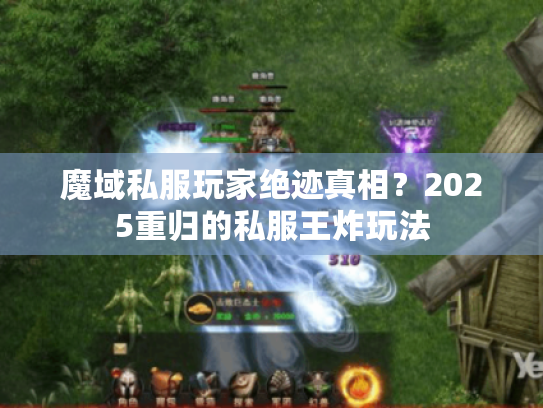 魔域私服玩家绝迹真相？2025重归的私服王炸玩法