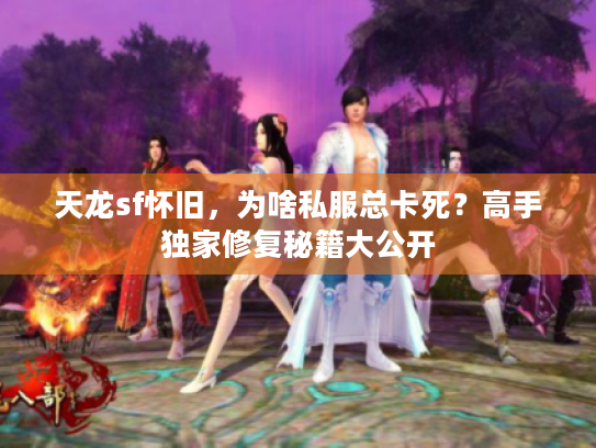 天龙sf怀旧，为啥私服总卡死？高手独家修复秘籍大公开