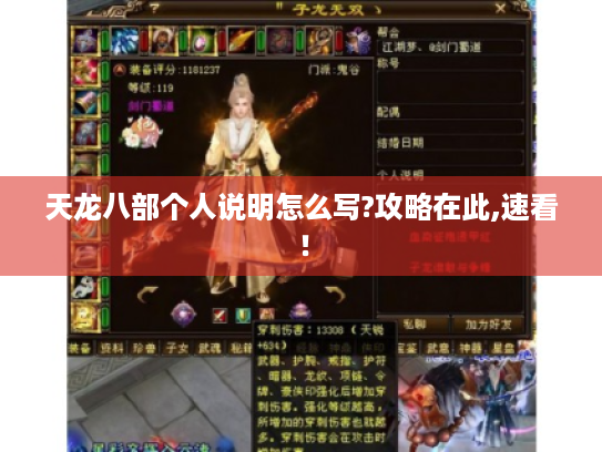 天龙八部个人说明怎么写?攻略在此,速看！