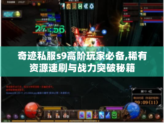 奇迹私服s9高阶玩家必备,稀有资源速刷与战力突破秘籍