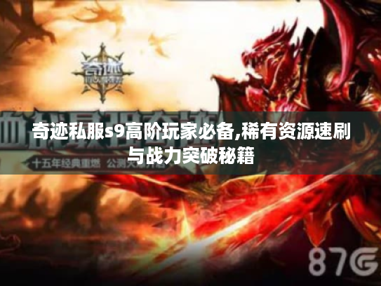 奇迹私服s9高阶玩家必备,稀有资源速刷与战力突破秘籍