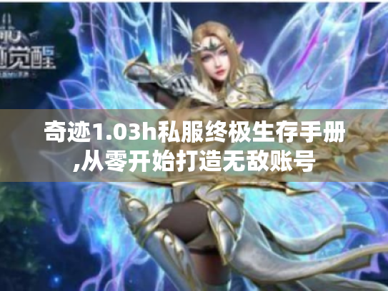 奇迹1.03h私服终极生存手册,从零开始打造无敌账号