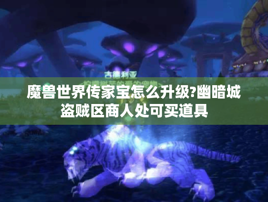 魔兽世界传家宝怎么升级?幽暗城盗贼区商人处可买道具