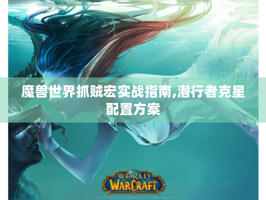 魔兽世界抓贼宏实战指南,潜行者克星配置方案