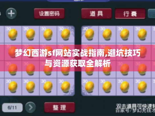 梦幻西游sf网站实战指南,避坑技巧与资源获取全解析 梦幻西游sf网站实战指南,避坑技巧与资源获取全解析
