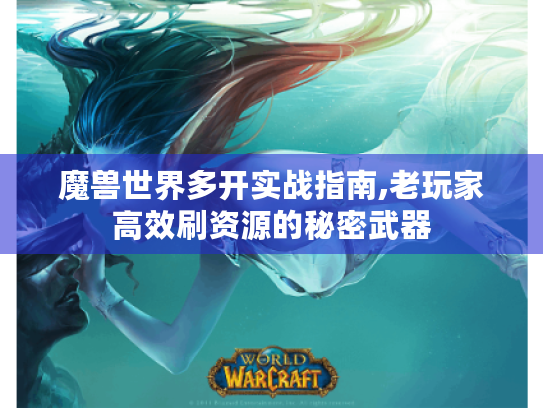 魔兽世界多开实战指南,老玩家高效刷资源的秘密武器