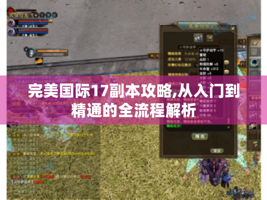 完美国际17副本攻略,从入门到精通的全流程解析