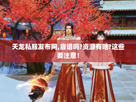 天龙私服发布网,靠谱吗?资源有啥?这些要注意！