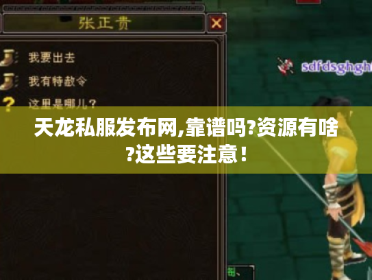 天龙私服发布网,靠谱吗?资源有啥?这些要注意！