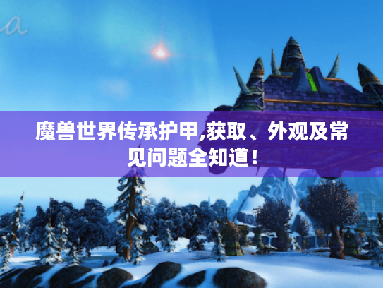 魔兽世界传承护甲,获取、外观及常见问题全知道！