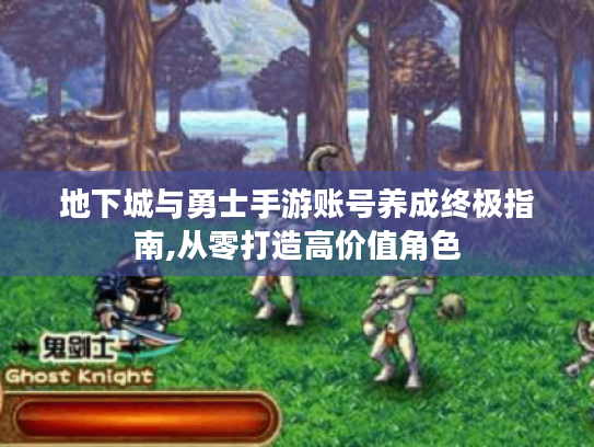 地下城与勇士手游账号养成终极指南,从零打造高价值角色