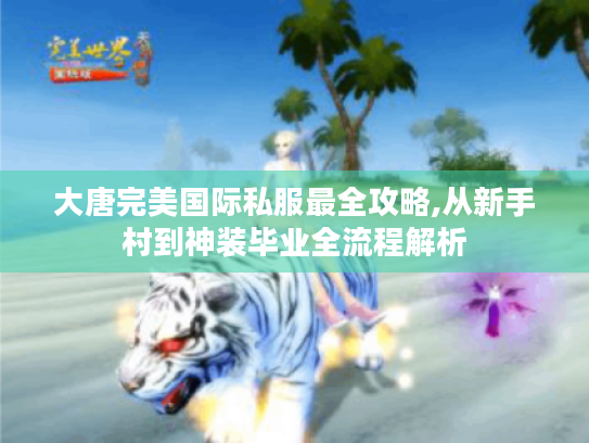 大唐完美国际私服最全攻略,从新手村到神装毕业全流程解析