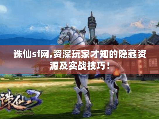 诛仙sf网,资深玩家才知的隐藏资源及实战技巧！