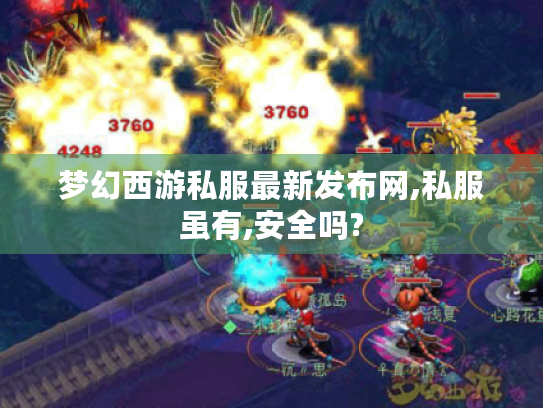 梦幻西游私服最新发布网,私服虽有,安全吗?