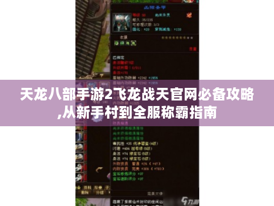天龙八部手游2飞龙战天官网必备攻略,从新手村到全服称霸指南