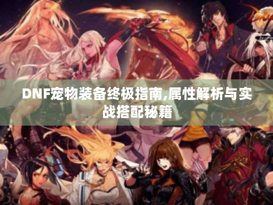 DNF宠物装备终极指南,属性解析与实战搭配秘籍