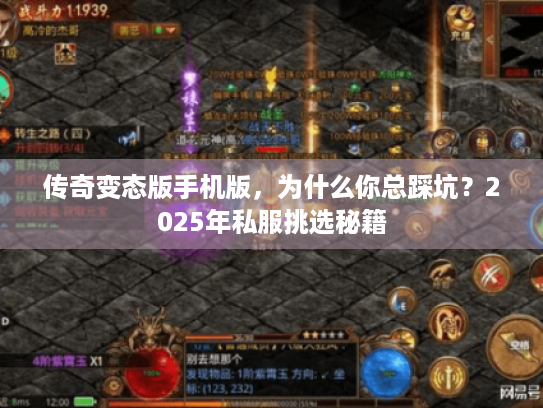 传奇变态版手机版，为什么你总踩坑？2025年私服挑选秘籍