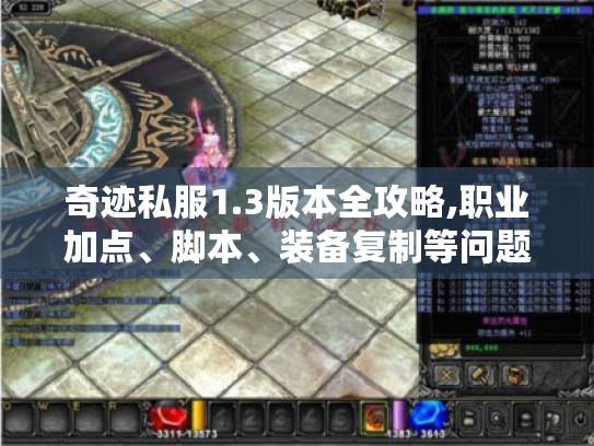 奇迹私服1.3版本全攻略,职业加点、脚本、装备复制等问题解答！