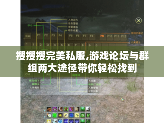 搜搜搜完美私服,游戏论坛与群组两大途径带你轻松找到 搜搜搜完美私服,游戏论坛与群组两大途径带你轻松找到