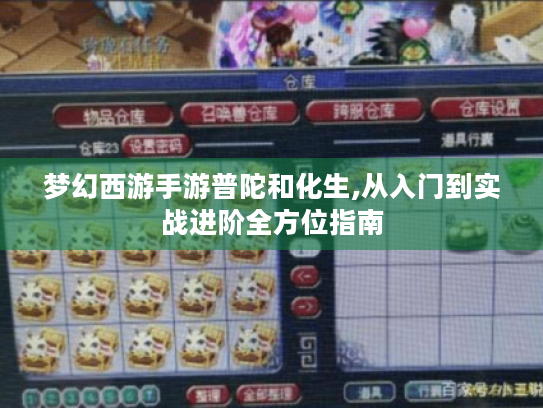 梦幻西游手游普陀和化生,从入门到实战进阶全方位指南