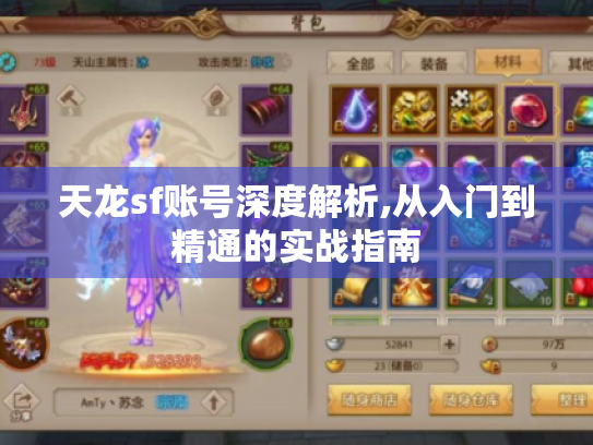 天龙sf账号深度解析,从入门到精通的实战指南