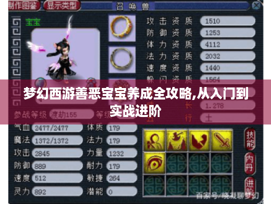 梦幻西游善恶宝宝养成全攻略,从入门到实战进阶
