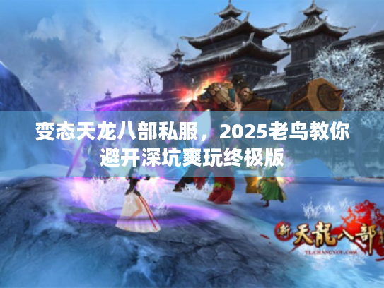 变态天龙八部私服，2025老鸟教你避开深坑爽玩终极版