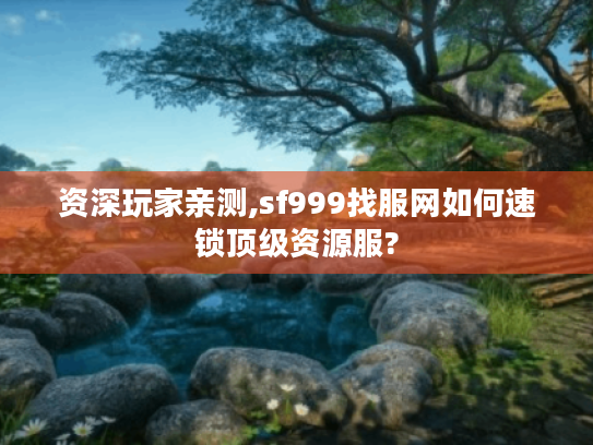 资深玩家亲测,sf999找服网如何速锁顶级资源服?