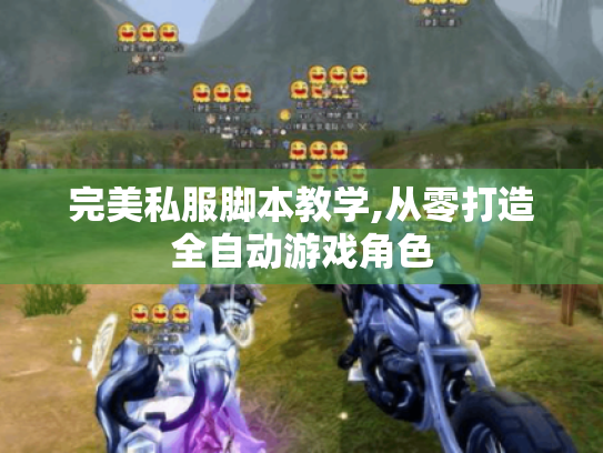 完美私服脚本教学,从零打造全自动游戏角色