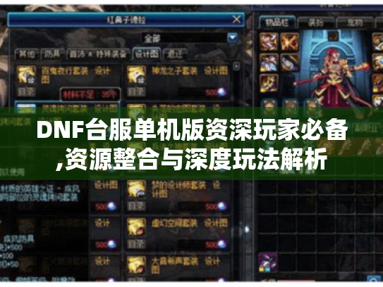 DNF台服单机版资深玩家必备,资源整合与深度玩法解析