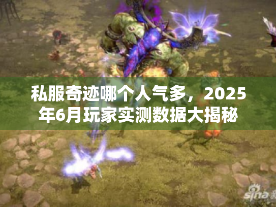 私服奇迹哪个人气多,2025年6月玩家实测数据大揭秘 私服奇迹哪个人气多,2025年6月玩家实测数据大揭秘