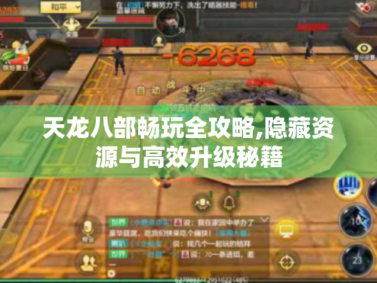 天龙八部畅玩全攻略,隐藏资源与高效升级秘籍