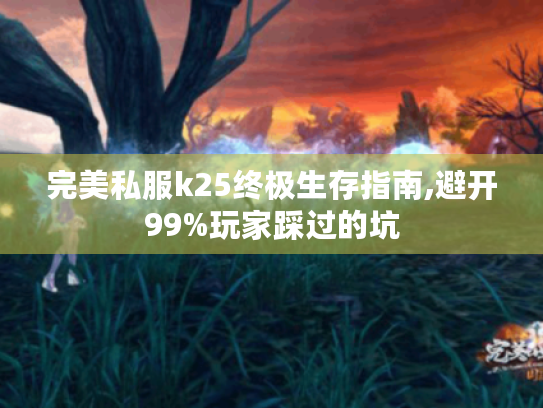 完美私服k25终极生存指南,避开99%玩家踩过的坑