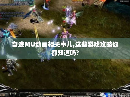 奇迹MU动画相关事儿,这些游戏攻略你都知道吗?