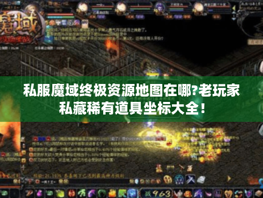 私服魔域终极资源地图在哪?老玩家私藏稀有道具坐标大全！