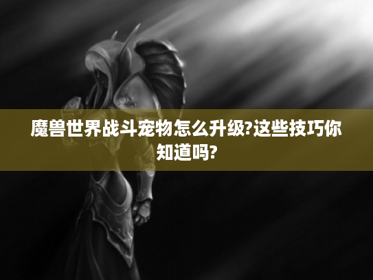 魔兽世界战斗宠物怎么升级?这些技巧你知道吗?
