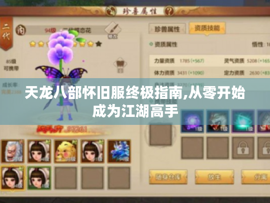 天龙八部怀旧服终极指南,从零开始成为江湖高手