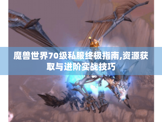 魔兽世界70级私服终极指南,资源获取与进阶实战技巧