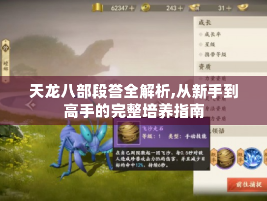 天龙八部段誉全解析,从新手到高手的完整培养指南