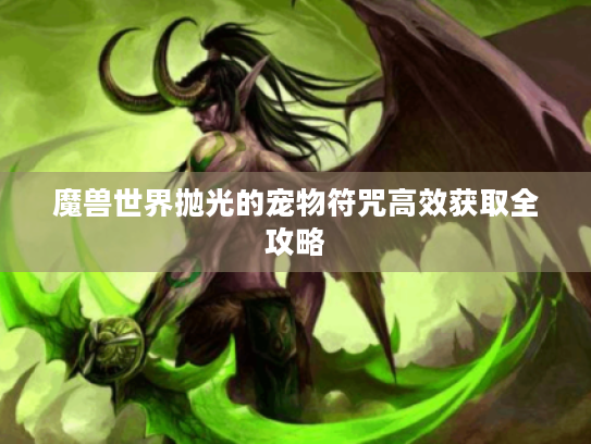 魔兽世界抛光的宠物符咒高效获取全攻略