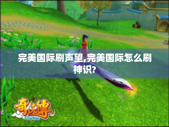 完美国际刷声望,完美国际怎么刷神识?