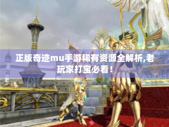 正版奇迹mu手游稀有资源全解析,老玩家打宝必看！