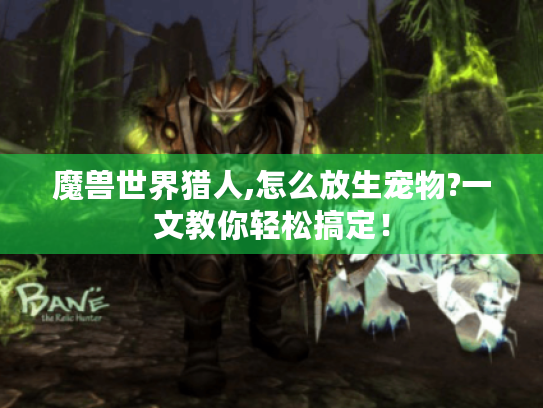 魔兽世界猎人,怎么放生宠物?一文教你轻松搞定！