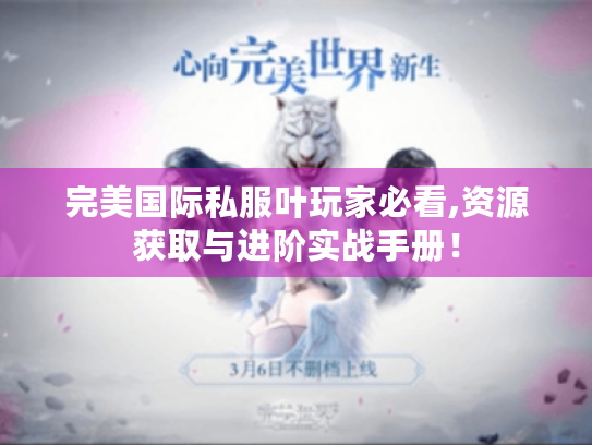 完美国际私服叶玩家必看,资源获取与进阶实战手册！